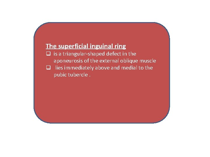 The superficial inguinal ring q is a triangular-shaped defect in the aponeurosis of the