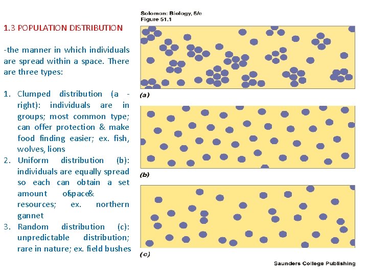 1. 3 POPULATION DISTRIBUTION -the manner in which individuals are spread within a space.