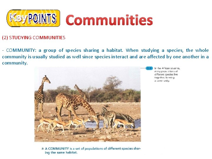 Communities (2) STUDYING COMMUNITIES - COMMUNITY: a group of species sharing a habitat. When