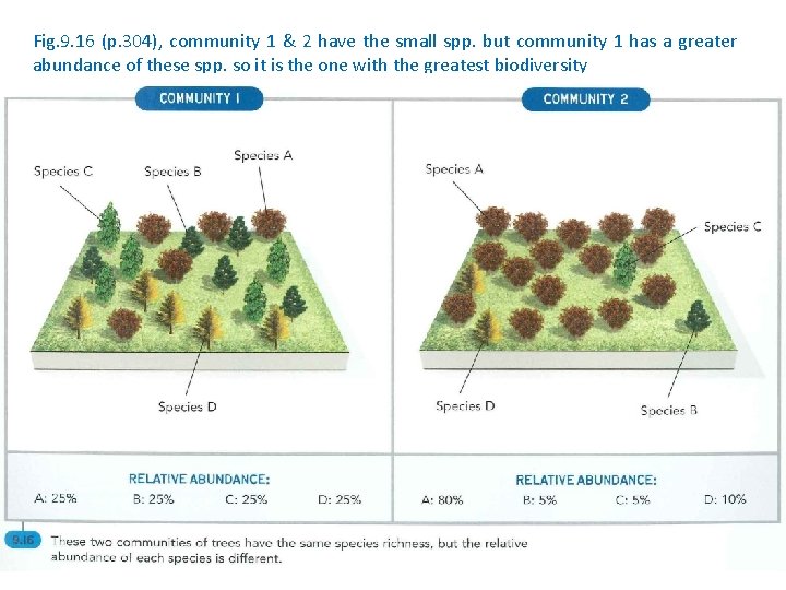 Fig. 9. 16 (p. 304), community 1 & 2 have the small spp. but