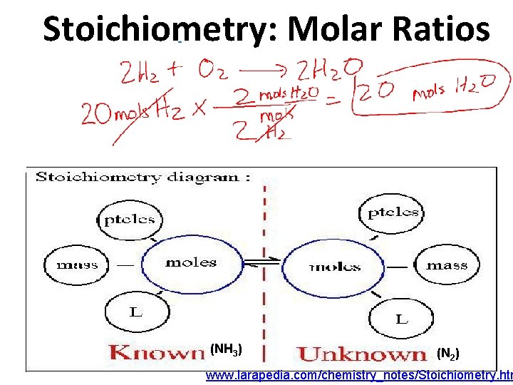 Stoichiometry: Molar Ratios (NH 3) (N 2) www. larapedia. com/chemistry_notes/Stoichiometry. htm 