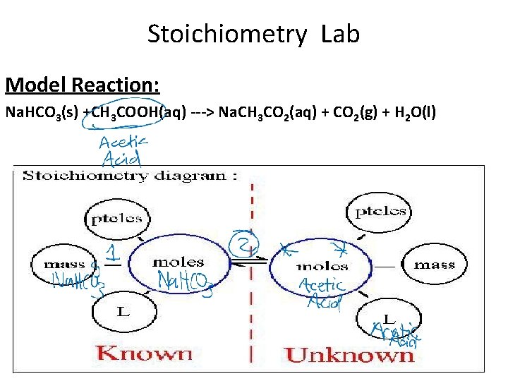 Stoichiometry Lab Model Reaction: Na. HCO 3(s) +CH 3 COOH(aq) ---> Na. CH 3