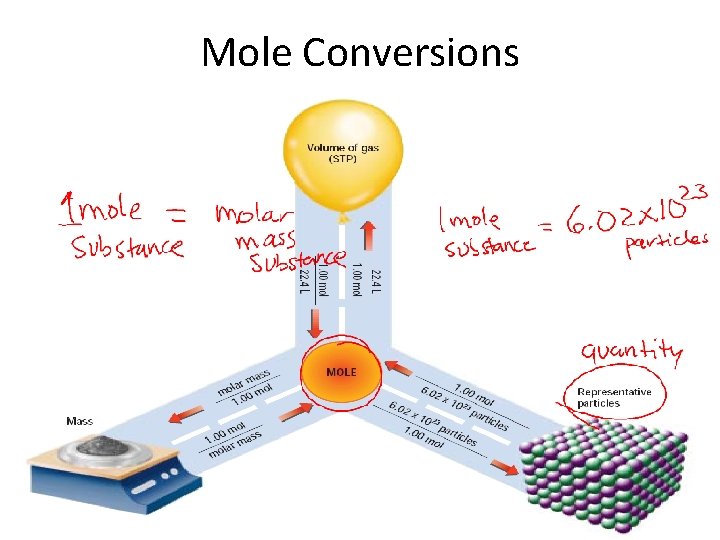 Mole Conversions 