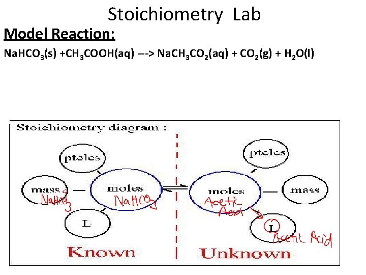 Stoichiometry Lab Model Reaction: Na. HCO 3(s) +CH 3 COOH(aq) ---> Na. CH 3