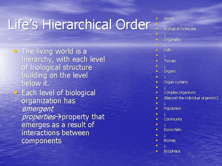 Life’s Hierarchical Order • The living world is a • hierarchy, with each level