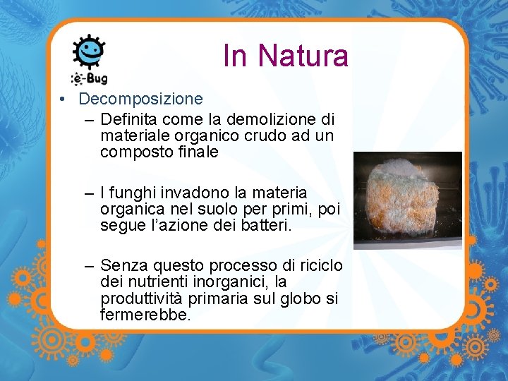 In Natura • Decomposizione – Definita come la demolizione di materiale organico crudo ad