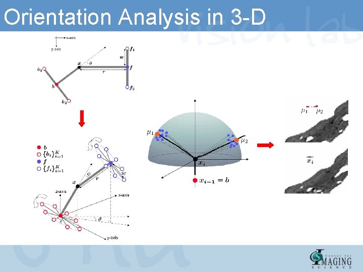 Orientation Analysis in 3 -D 