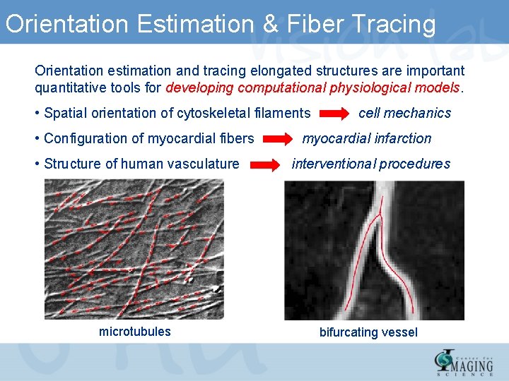 Orientation Estimation & Fiber Tracing Orientation estimation and tracing elongated structures are important quantitative