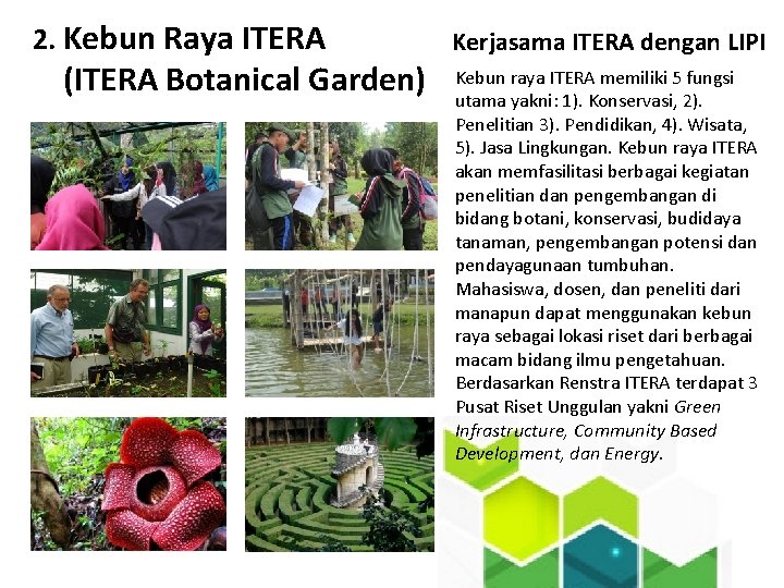 2. Kebun Raya ITERA (ITERA Botanical Garden) Kerjasama ITERA dengan LIPI Kebun raya ITERA