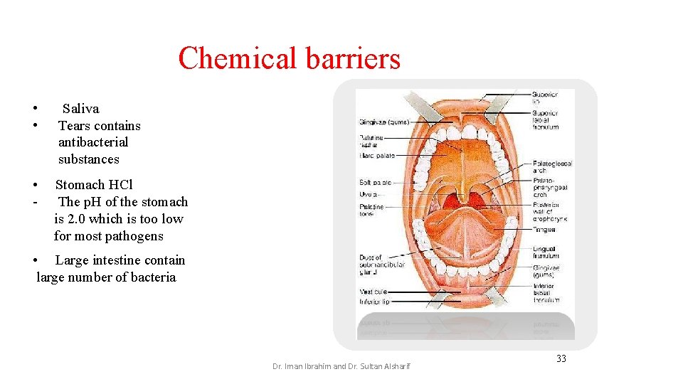Chemical barriers • • Saliva Tears contains antibacterial substances • - Stomach HCl The Chemical barriers • • Saliva Tears contains antibacterial substances • - Stomach HCl The