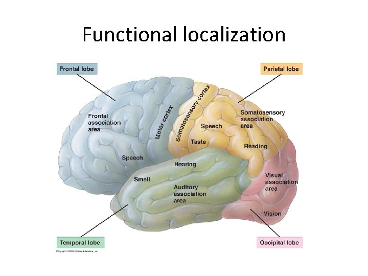 Functional localization 