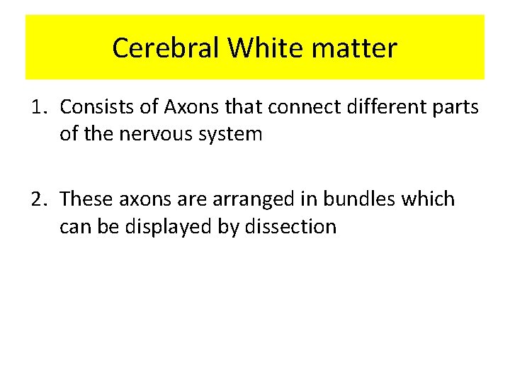 Cerebral White matter 1. Consists of Axons that connect different parts of the nervous