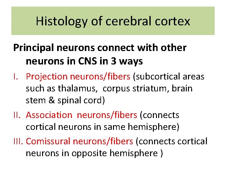 Histology of cerebral cortex Principal neurons connect with other neurons in CNS in 3