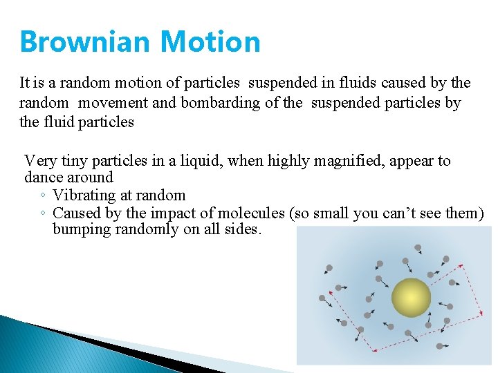 Brownian Motion It is a random motion of particles suspended in fluids caused by