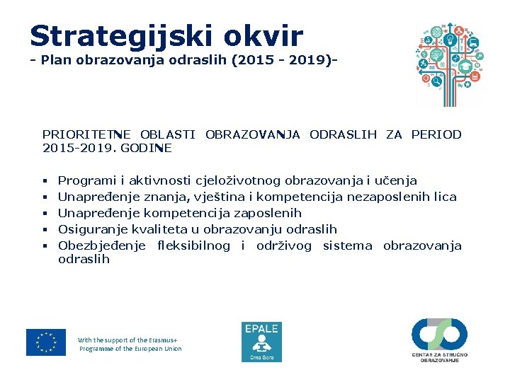 Strategijski okvir - Plan obrazovanja odraslih (2015 - 2019)- PRIORITETNE OBLASTI OBRAZOVANJA ODRASLIH ZA