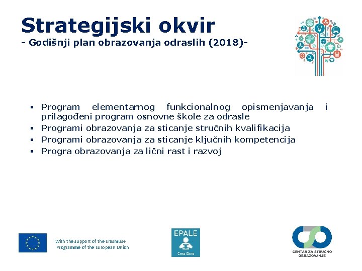 Strategijski okvir - Godišnji plan obrazovanja odraslih (2018)- § Program elementarnog funkcionalnog opismenjavanja prilagođeni