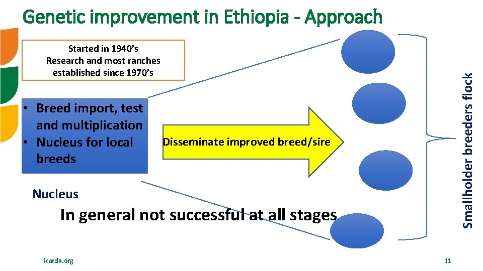 Genetic improvement in Ethiopia - Approach • Breed import, test and multiplication • Nucleus