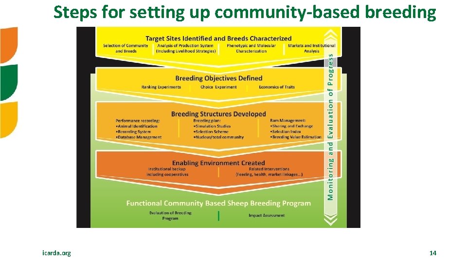 Steps for setting up community-based breeding icarda. org 14 