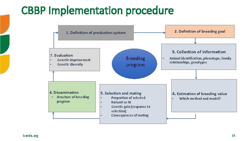 CBBP Implementation procedure 2. Definition of breeding goal 1. Definition of production system 3.