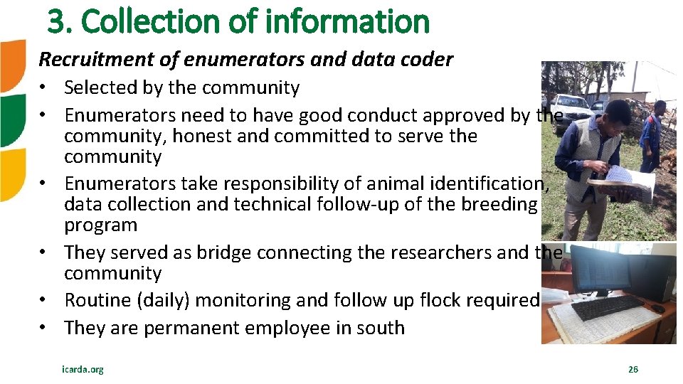 3. Collection of information Recruitment of enumerators and data coder • Selected by the