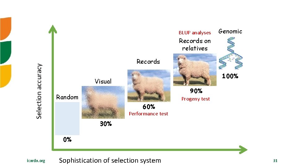 BLUP analyses Genomic Selection accuracy Records on relatives Records 100% Visual 90% Random Progeny