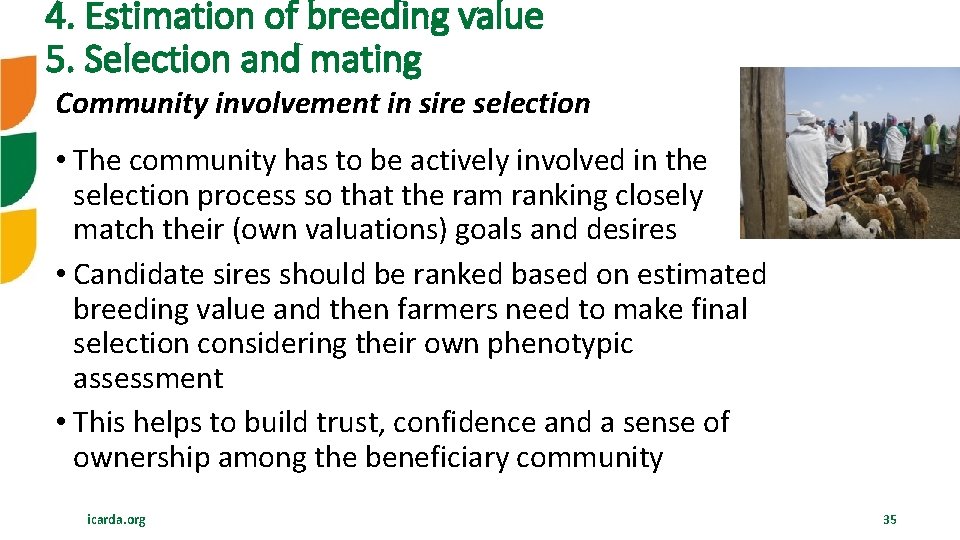 4. Estimation of breeding value 5. Selection and mating Community involvement in sire selection