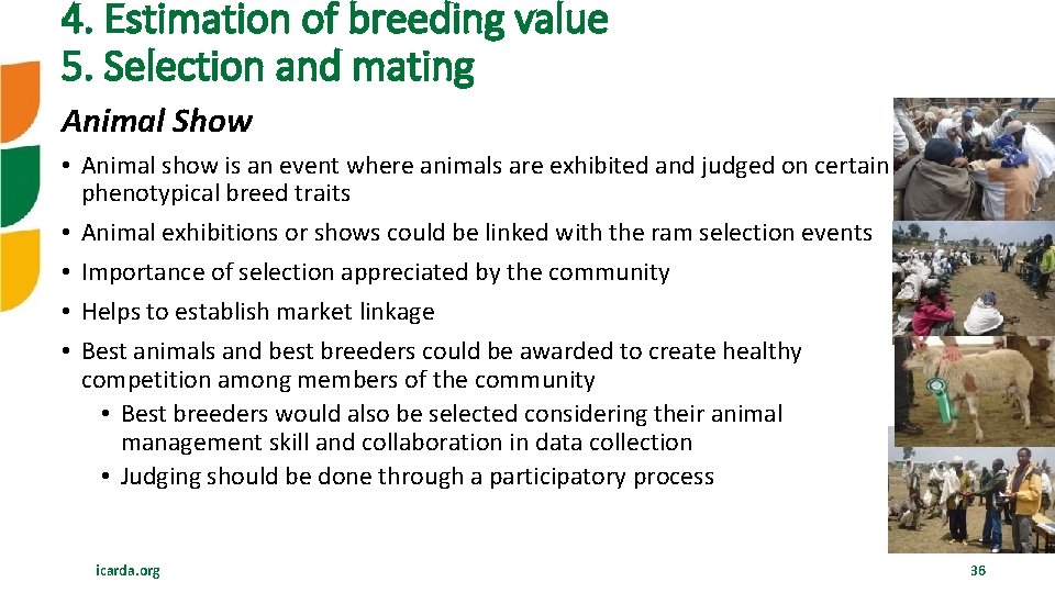 4. Estimation of breeding value 5. Selection and mating Animal Show • Animal show