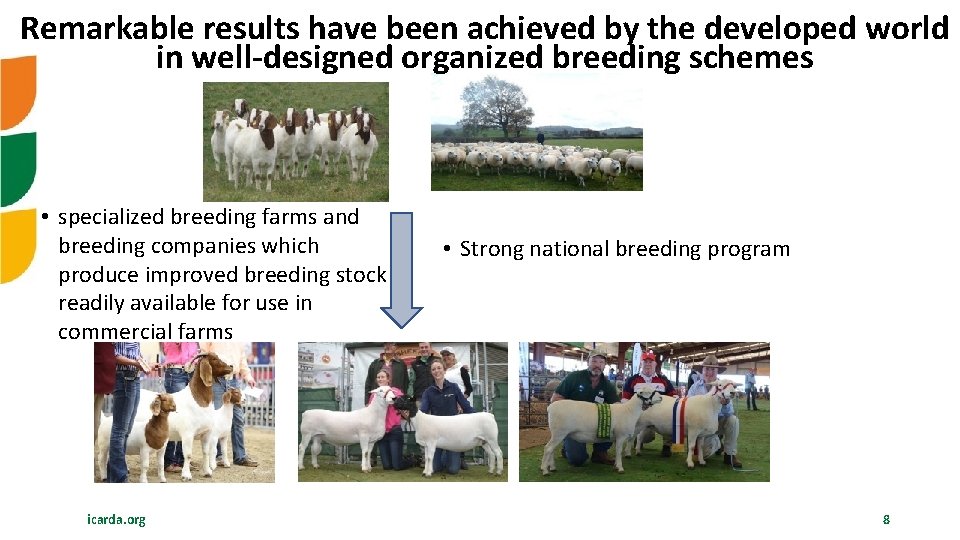 Remarkable results have been achieved by the developed world in well-designed organized breeding schemes