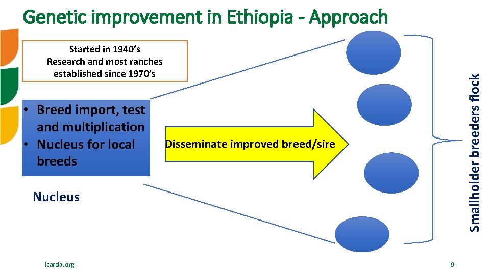 Genetic improvement in Ethiopia - Approach • Breed import, test and multiplication • Nucleus