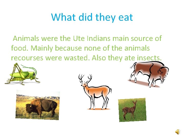 What did they eat Animals were the Ute Indians main source of food. Mainly