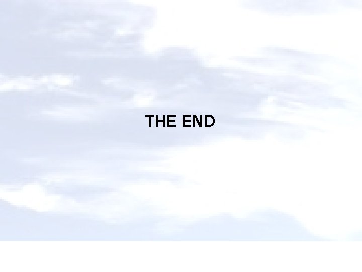 THE END 