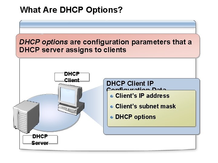 What Are DHCP Options? DHCP options are configuration parameters that a DHCP server assigns
