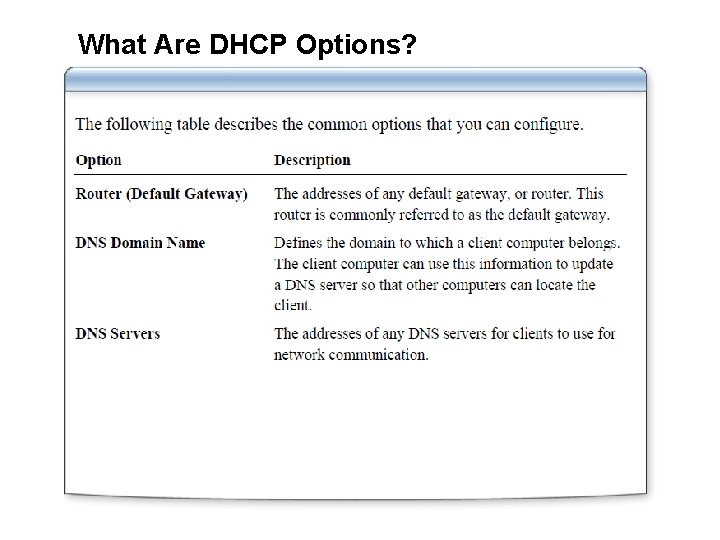 What Are DHCP Options? 