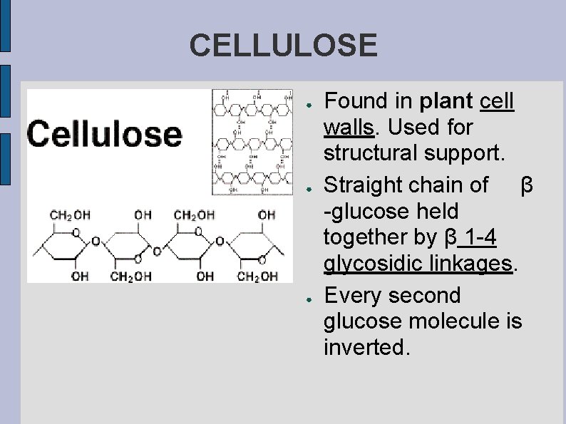 CELLULOSE ● ● ● Found in plant cell walls. Used for structural support. Straight