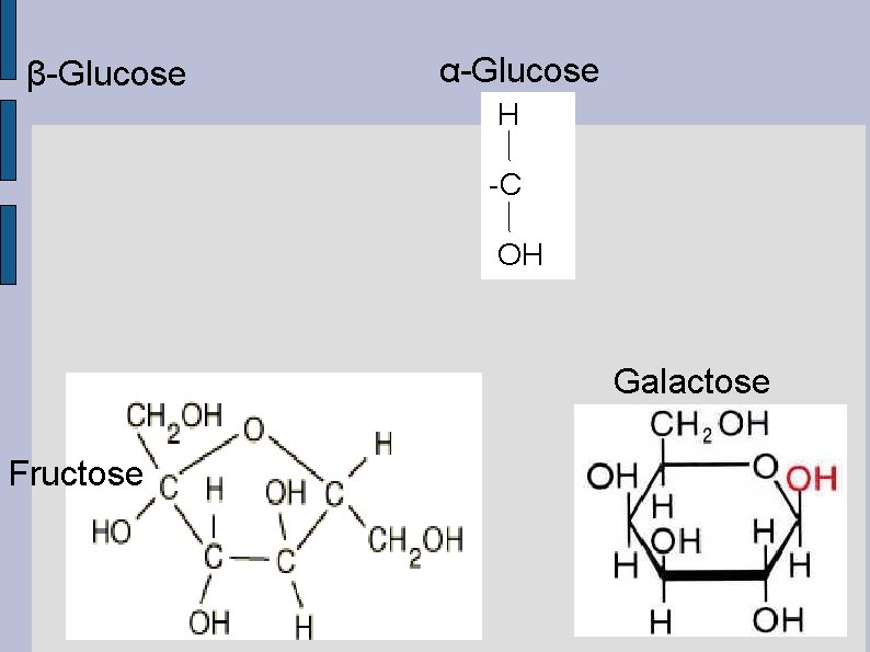 β-Glucose α-Glucose H -C OH Galactose Fructose 