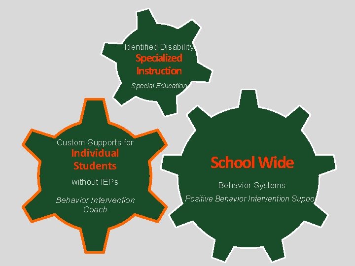 Identified Disability Specialized Instruction Special Education Custom Supports for Individual Students School Wide without