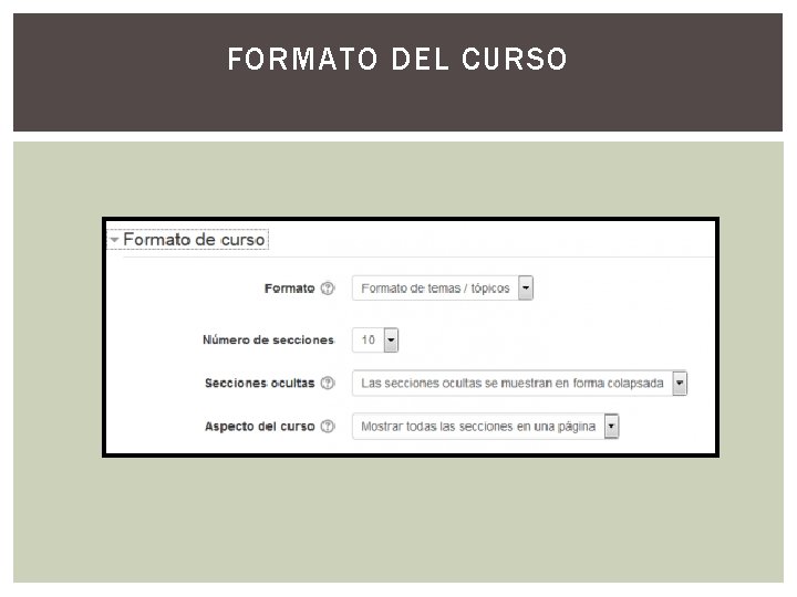 FORMATO DEL CURSO 