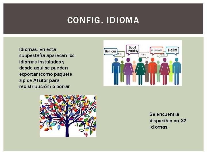 CONFIG. IDIOMA Idiomas. En esta subpestaña aparecen los idiomas instalados y desde aquí se