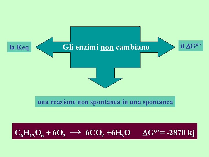 la Keq Gli enzimi non cambiano il DG°’ una reazione non spontanea in una