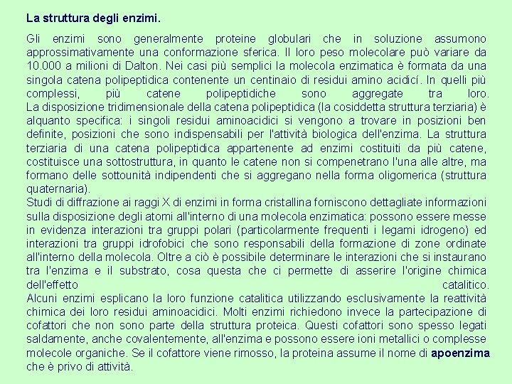 La struttura degli enzimi. Gli enzimi sono generalmente proteine globulari che in soluzione assumono
