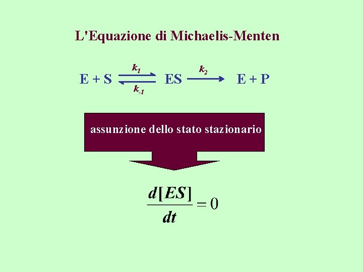 L'Equazione di Michaelis-Menten E+S k 1 k-1 ES k 2 E+P assunzione dello stato