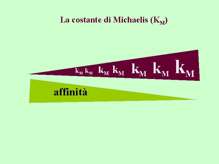 La costante di Michaelis (KM) k. M affinità k. M k. M 