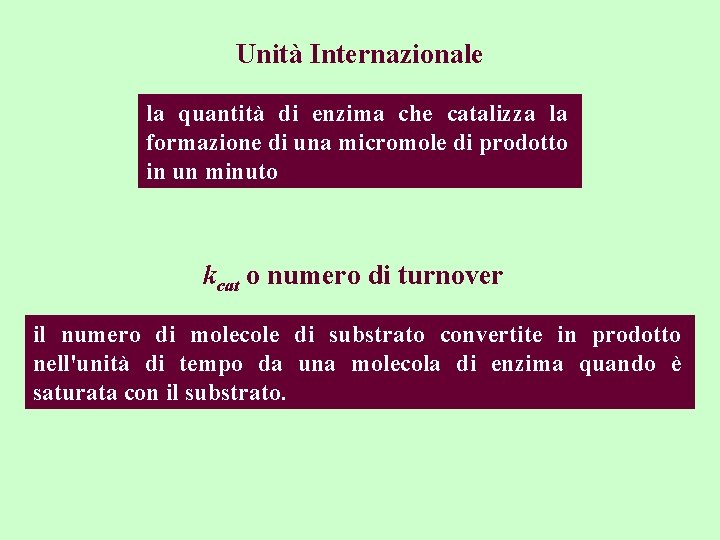 Unità Internazionale la quantità di enzima che catalizza la formazione di una micromole di