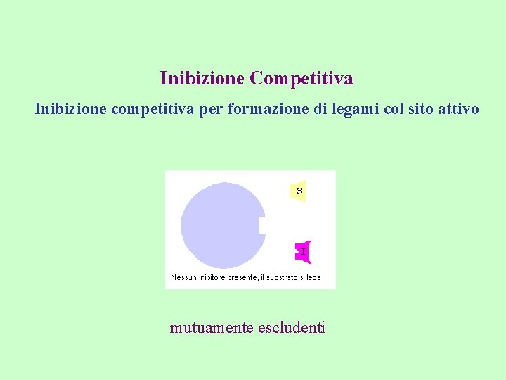 Inibizione Competitiva Inibizione competitiva per formazione di legami col sito attivo mutuamente escludenti 