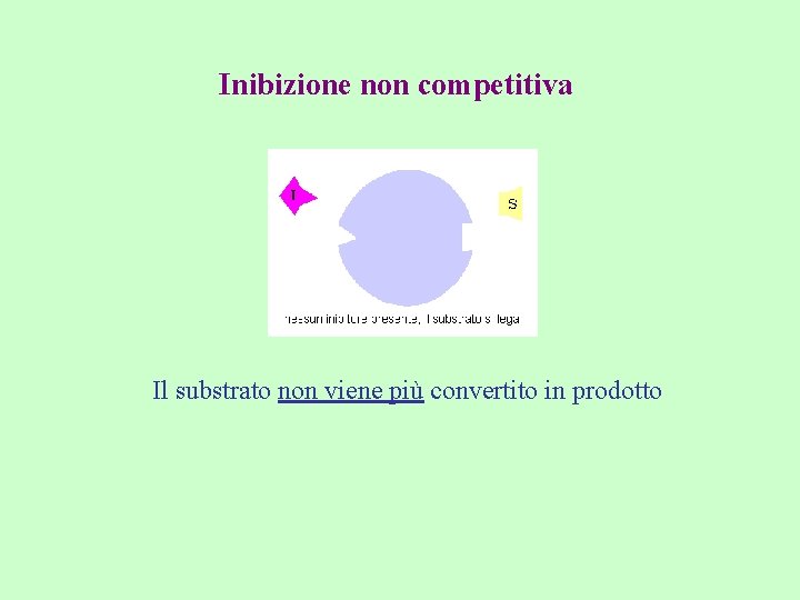 Inibizione non competitiva Il substrato non viene più convertito in prodotto 