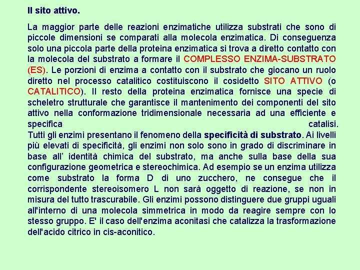 Il sito attivo. La maggior parte delle reazioni enzimatiche utilizza substrati che sono di