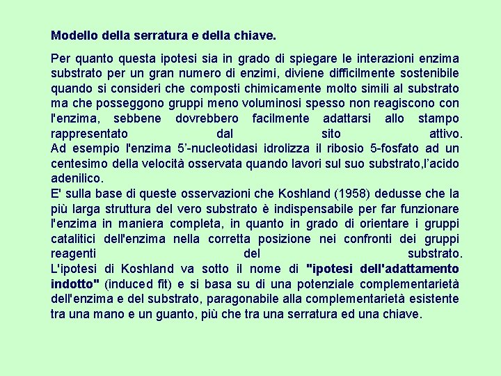 Modello della serratura e della chiave. Per quanto questa ipotesi sia in grado di