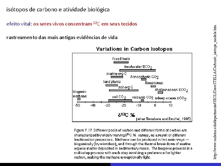 efeito vital: os seres vivos concentram 12 C em seus tecidos rastreamento das mais