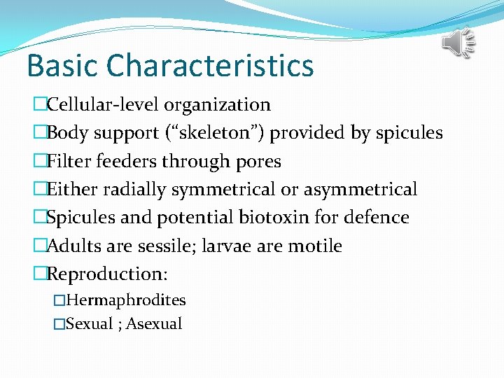 Basic Characteristics �Cellular-level organization �Body support (“skeleton”) provided by spicules �Filter feeders through pores