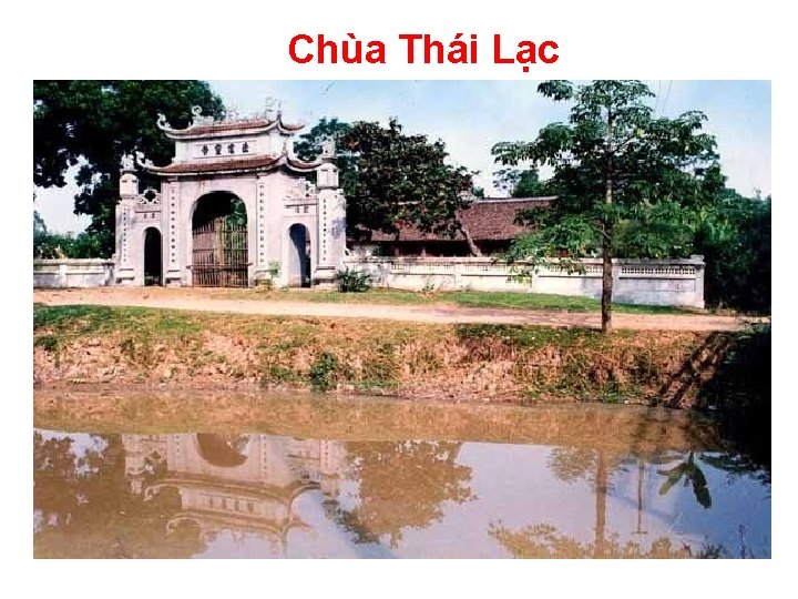 Chùa Thái Lạc 